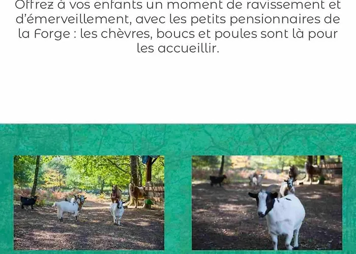 Mobile Domaine De La Forge * La Teste-de-Buch